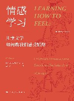 光启情感史  情感学习  儿童文学如何教我们感受情绪  1870-1970 封面