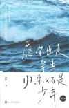 愿你出走半生  归来仍是少年 封面