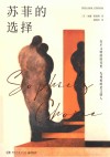 苏菲的选择 封面