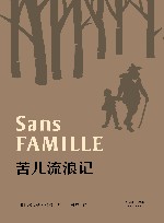 苦儿流浪记 封面