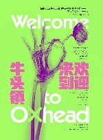 欢迎来到牛头镇 封面