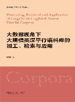 外研社语料库研究系列  大数据视角下大规模英汉平行语料库的加工检索与应用 封面