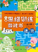 儿童思维训练游戏书  迷宫 封面