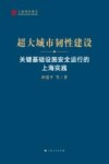 超大城市韧性建设  关键基础设施安全运行的上海实践 封面