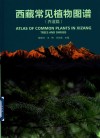 西藏常见植物图谱  乔灌篇 封面