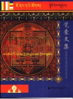 觉囊阿毗达磨集论 封面