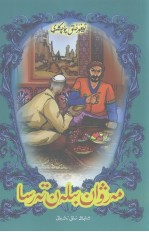 迈尔丸与固执 封面