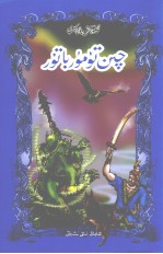 英雄坎铁木尔 封面