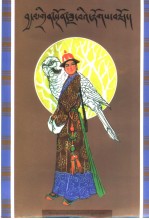 青颈鸟的故事  第2版  藏文 封面