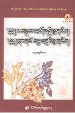 赖杰贡医著·班玛折扎医著  藏文 封面
