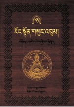 绒顿·释迦坚参文集  第8卷  藏文 封面