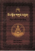 绒顿·释迦坚参文集  第9卷  藏文 封面