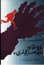 亲爱的，我们都是贼  维吾尔文 封面