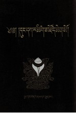 东噶藏学大辞典  藏文 封面