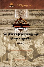 觉囊·多罗那他文集  先哲遗书  70  藏文 封面