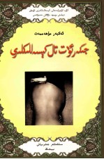 肝、胆、脾脏疾病 封面