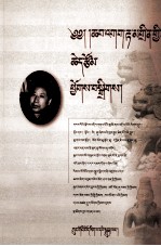 恰嘎·旦正论文集  藏文 封面