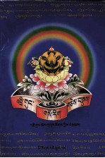 直贡藏医文集 封面