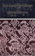 颇罗鼐传精要通俗读本 封面