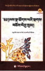 藏医疗病仪轨  藏文 封面