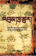 藏医八支论之精要奔科策  藏文 封面
