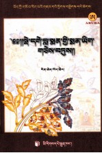 德格拉曼医著  藏文 封面