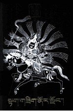 大食财宝宗  藏文 封面