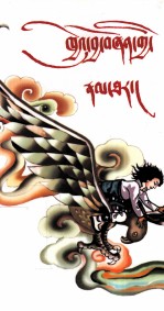 驭鹰神童  藏文 封面