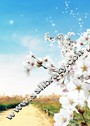 身体中的宇宙(超级科普畅销书作家尼尔·舒宾又一力作! Kirkus年度佳图书)