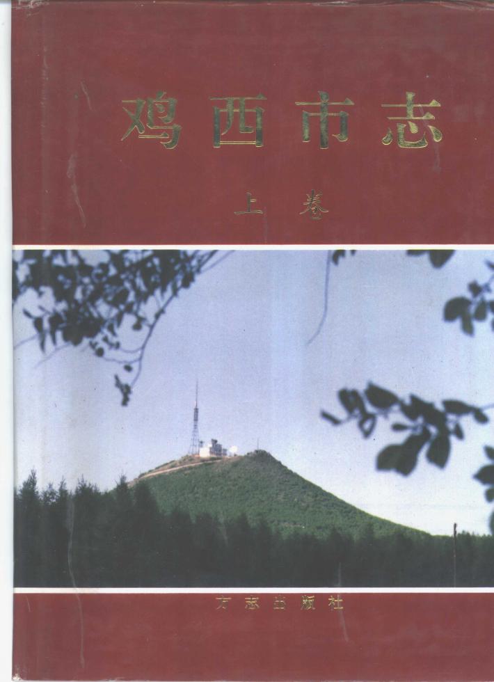鸡西市志  下 封面