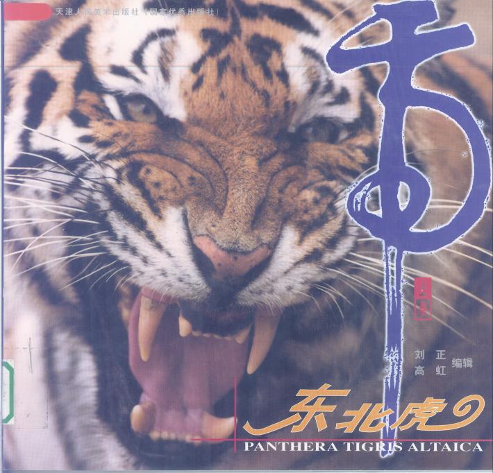 东北虎  下 封面