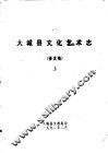 大城县文化艺术志  修改稿  下 封面