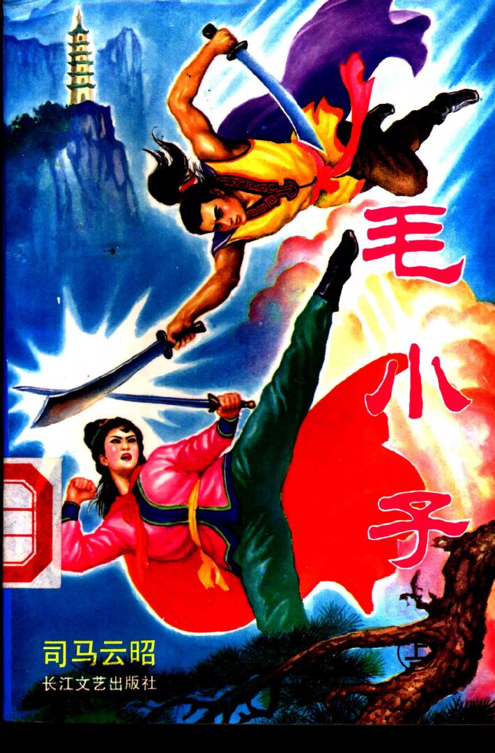 毛小子  中 封面