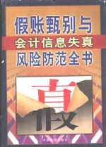 假帐甄别与会计信息失真风险防范全书  下 封面