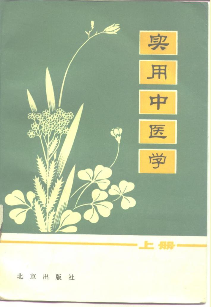 实用中医学  下 封面