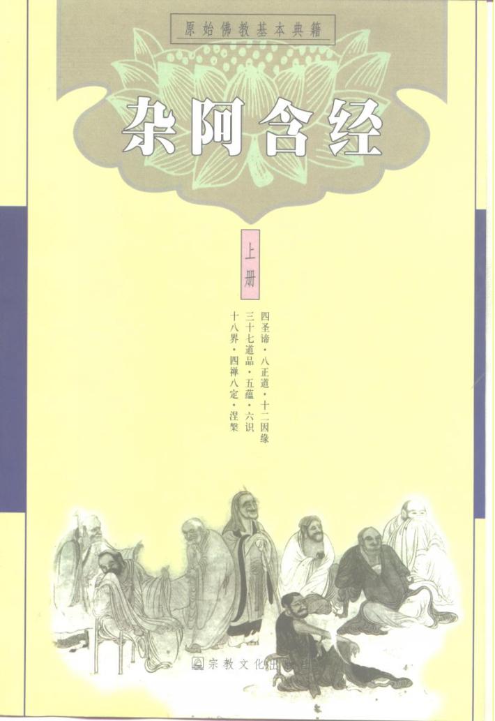 杂阿含经  中 封面