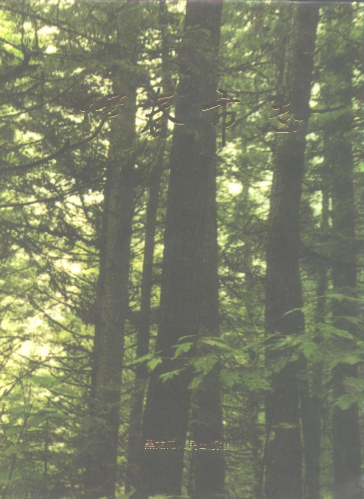 伊春市志  下 封面