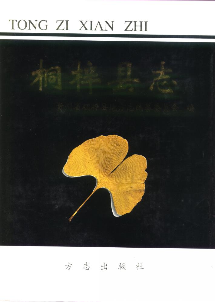 桐梓县志  下 封面