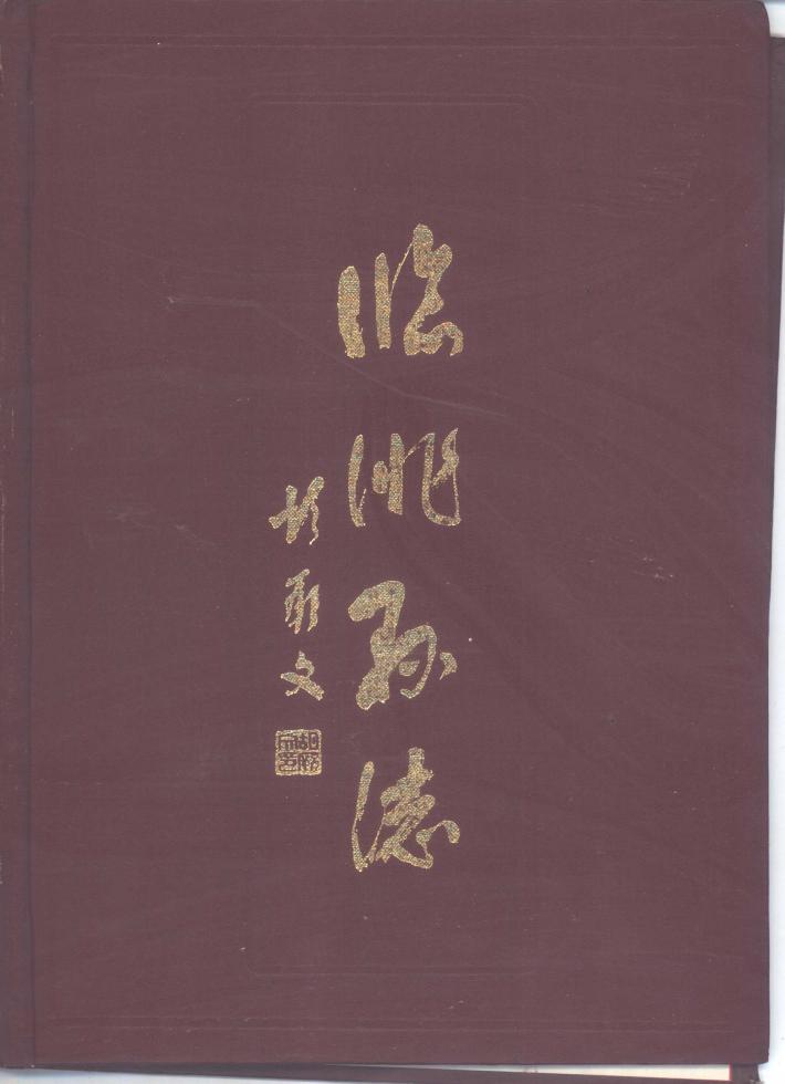 临洮县志  中 封面