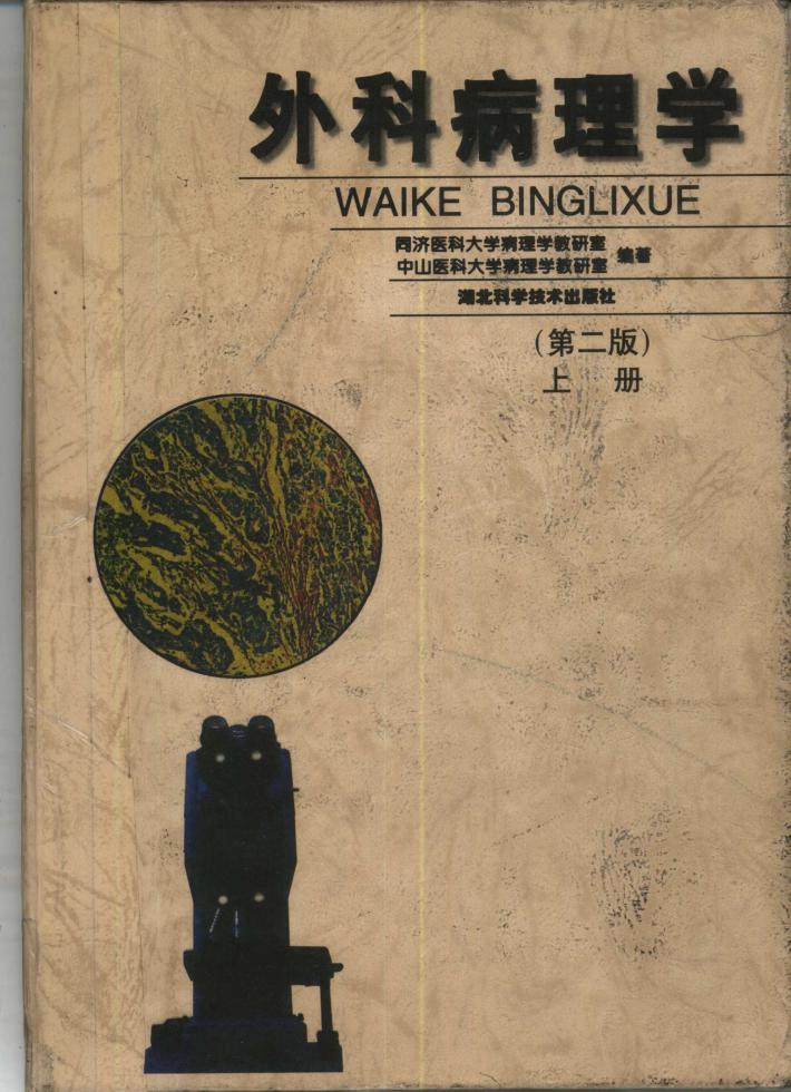 外科病理学  第2版  下 封面