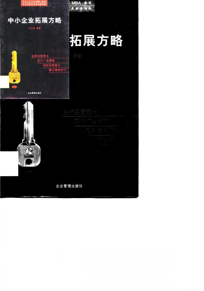 中小企业拓展方略  下 封面