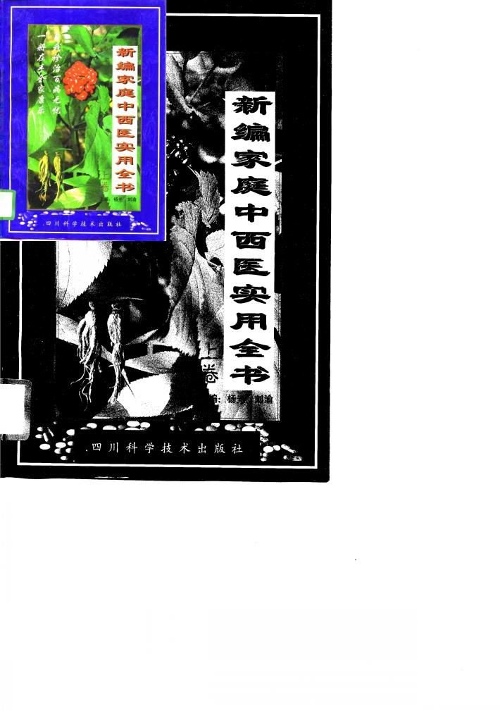 新编家庭中西医实用全书  下 封面