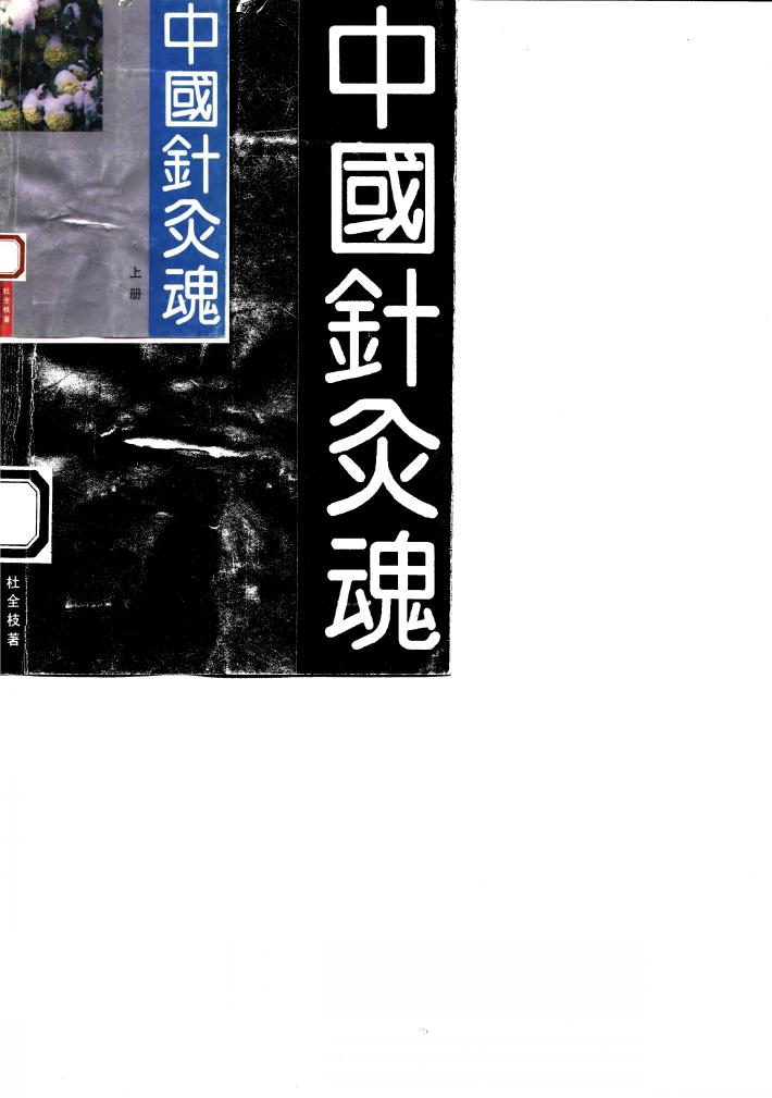 中国针灸魂  下 封面