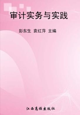 审计实务与实践