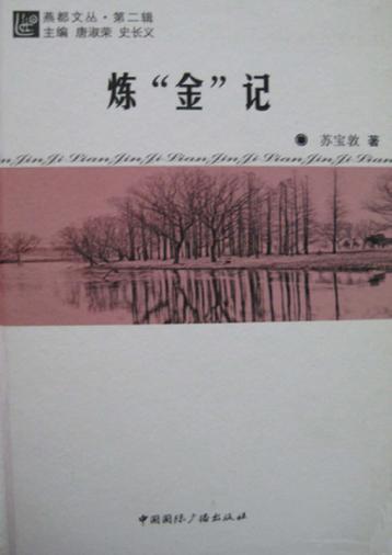 炼“金”记 封面