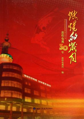 燃烧的岁月  敦煌电视30年 封面