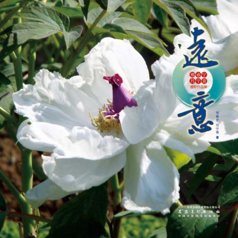 远意  邢春宁、吕宁青摄影作品集 封面