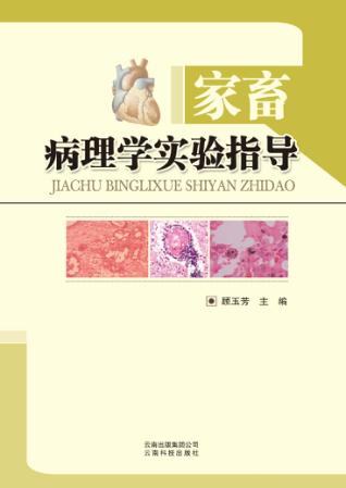 家畜病理学实验指导 封面