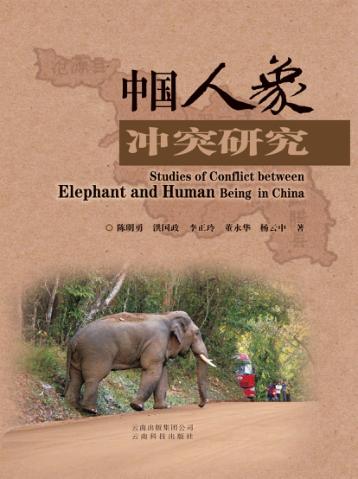 中国人象冲突研究 封面