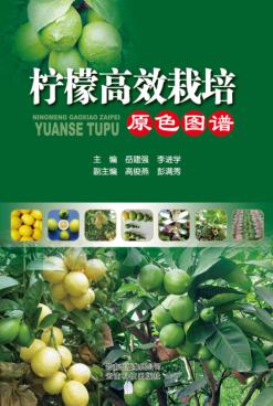 柠檬高效栽培原色图谱 封面